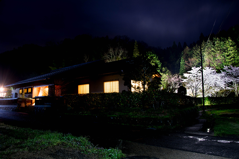 京都の和食レストラン ゆう月の夜桜のライトアップ