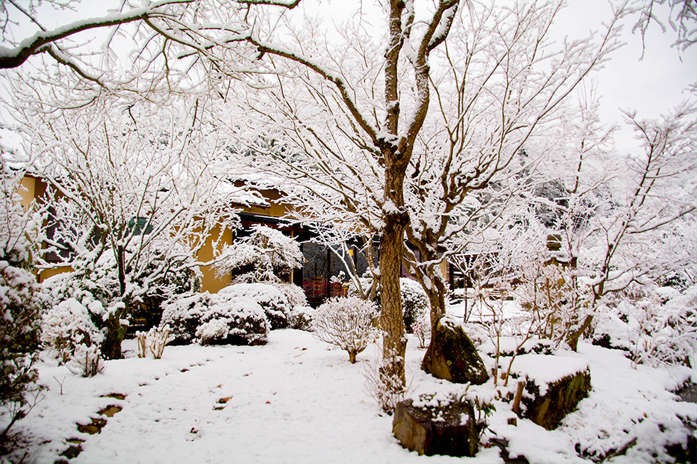 冬の庭園 日本庭園 雪景色 料亭 