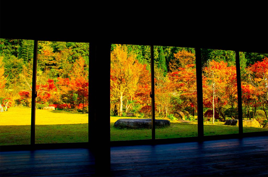 綾部の料亭 ゆう月 秋の庭園 紅葉