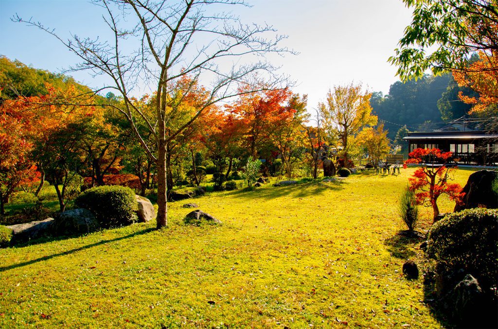 綾部の料亭 ゆう月 秋の庭園 紅葉