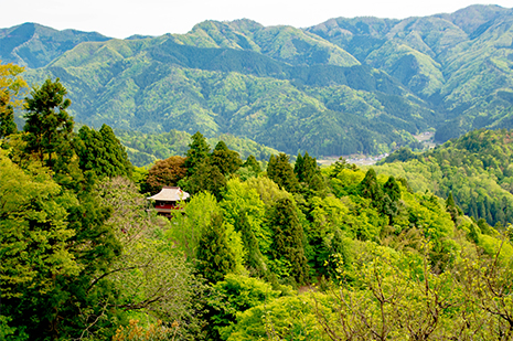 京都 ゆう月の周辺案内 観光案内 光明寺 仁王門 国宝 重要文化財