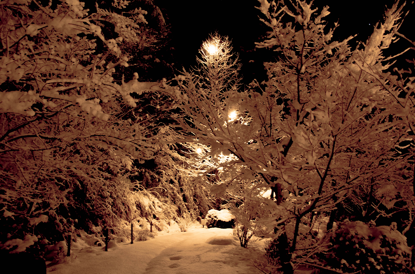 綾部市の和食レストラン ゆう月の冬の画像 雪の庭園 イルミネーション