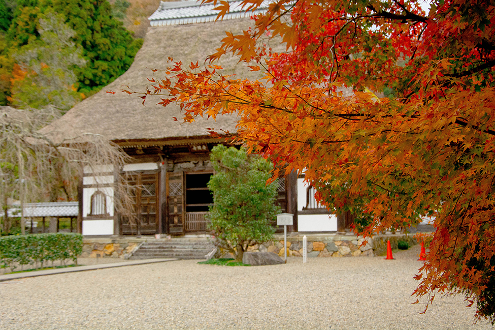 綾部 ゆう月の周辺案内 観光施設 寺院 足利尊氏生誕地の安国寺