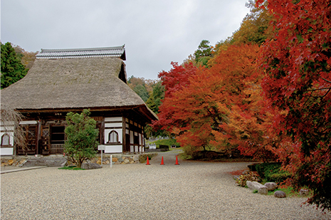 綾部市の安国寺の紅葉