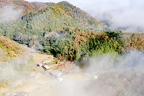 紅葉のゆう月を空撮した画像