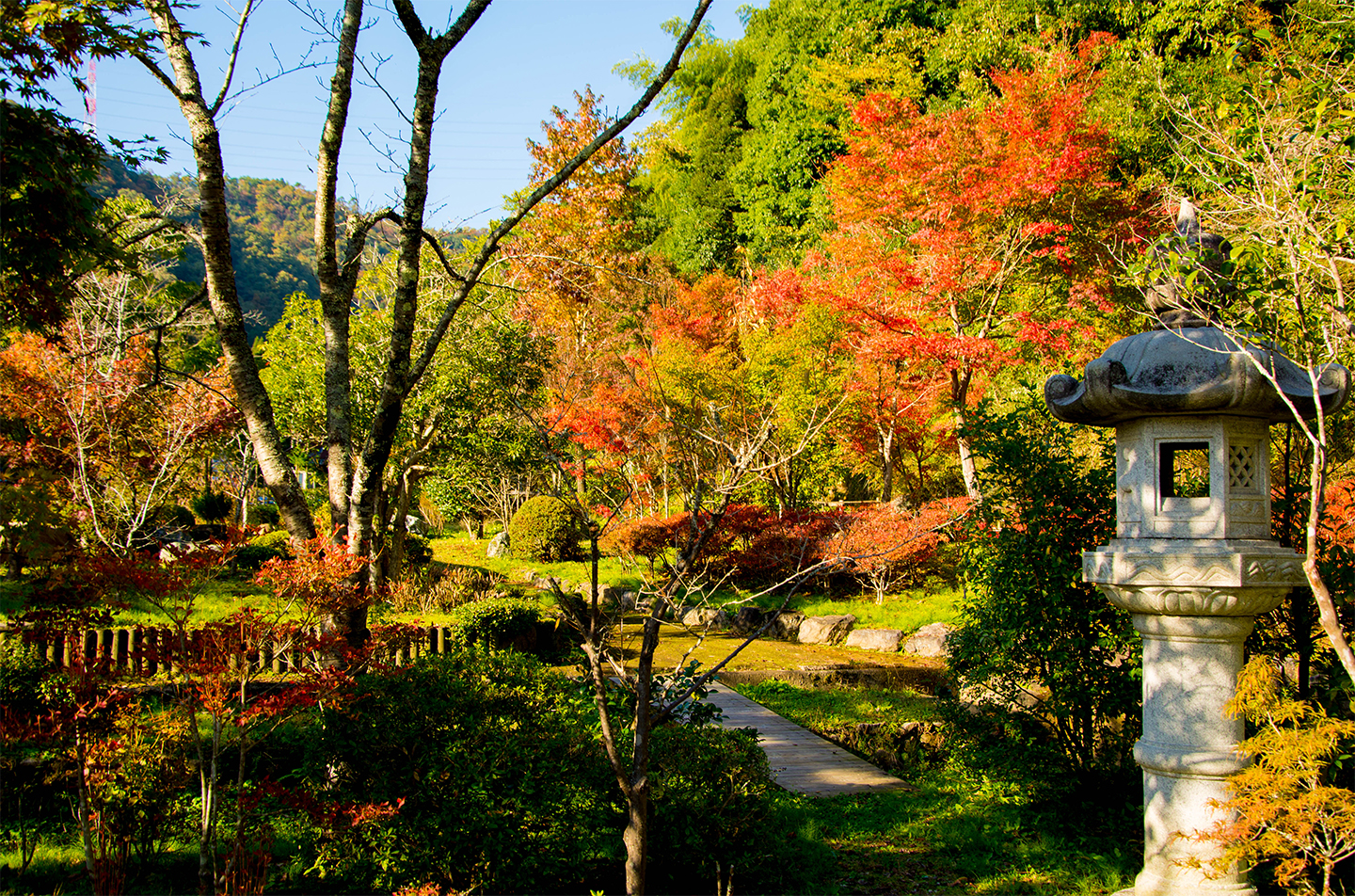 綾部の料亭 ゆう月 秋の庭園風景 紅葉