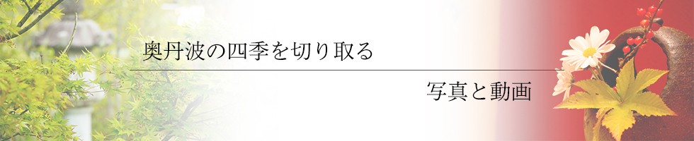 綾部の料亭 ゆう月 ギャラリーページのタイトル