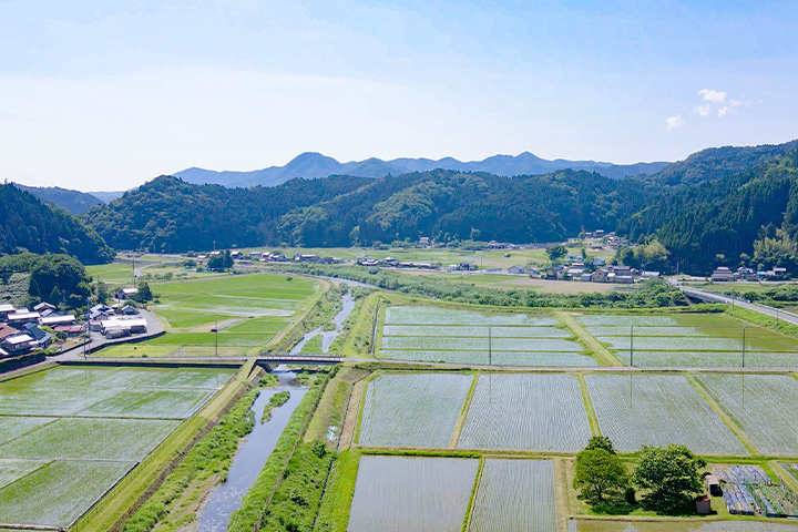 清流と水田、山並みに囲まれた自然豊かな農村風景