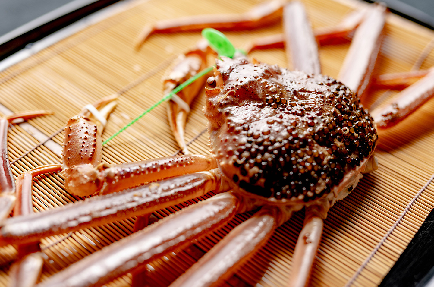 冬限定の松葉ガニ付き会席プラン。炭火焼きや茹でガニから選べる贅沢なズワイガニの雄。甘みと旨味が濃い冬の味覚。