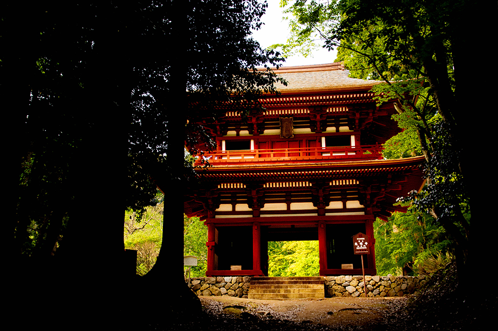 綾部 ゆう月の周辺案内 観光施設 寺院 国宝 仁王門 光明寺