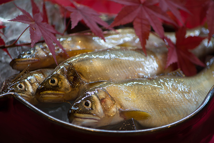 綾部の料亭 ゆう月 会席料理 料理人 素材