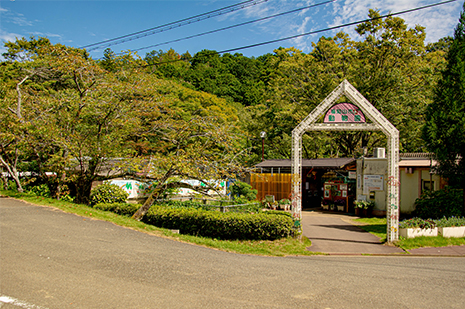 綾部 ゆう月周辺の観光施設 三段池公園 動物園 うり坊 みわちゃん