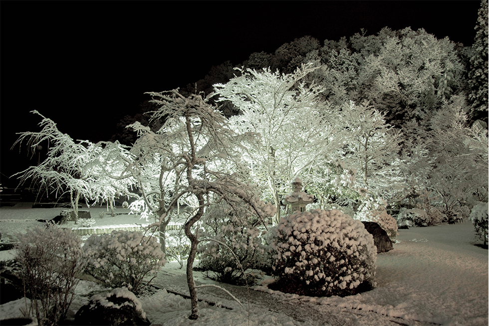 冬の庭園 日本庭園 雪景色 料亭 ライトアップ