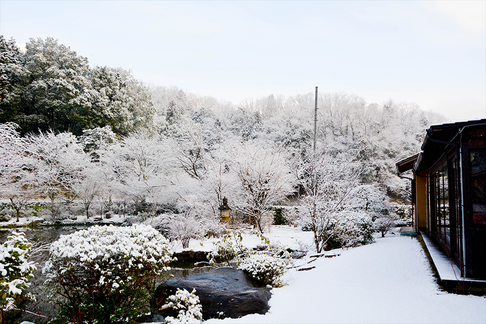 冬の庭園 日本庭園 雪景色 料亭