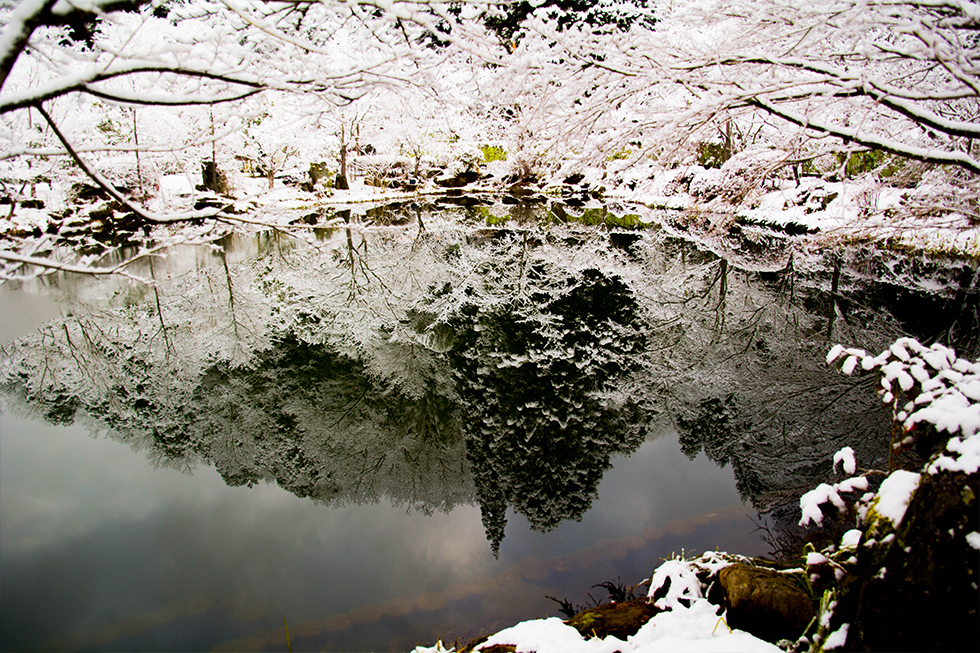 冬の庭園 日本庭園 雪景色 料亭