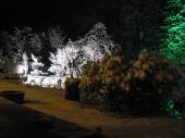 綾部ゆう月　庭園ライトアップ