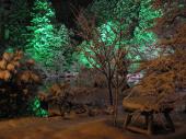 綾部ゆう月　庭園ライトアップ