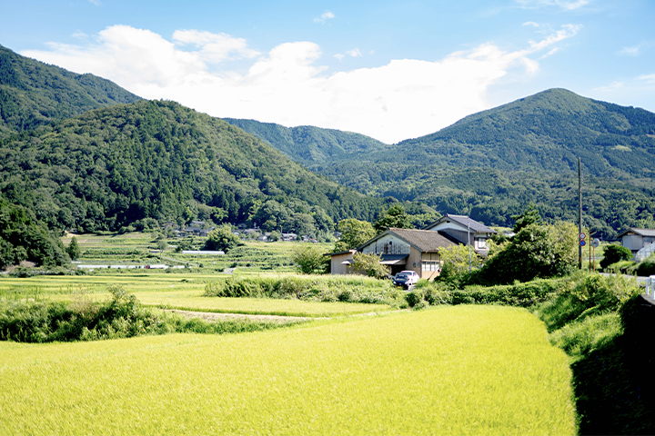 海の京都の酒蔵 与謝野町の与謝娘酒造 田園風景