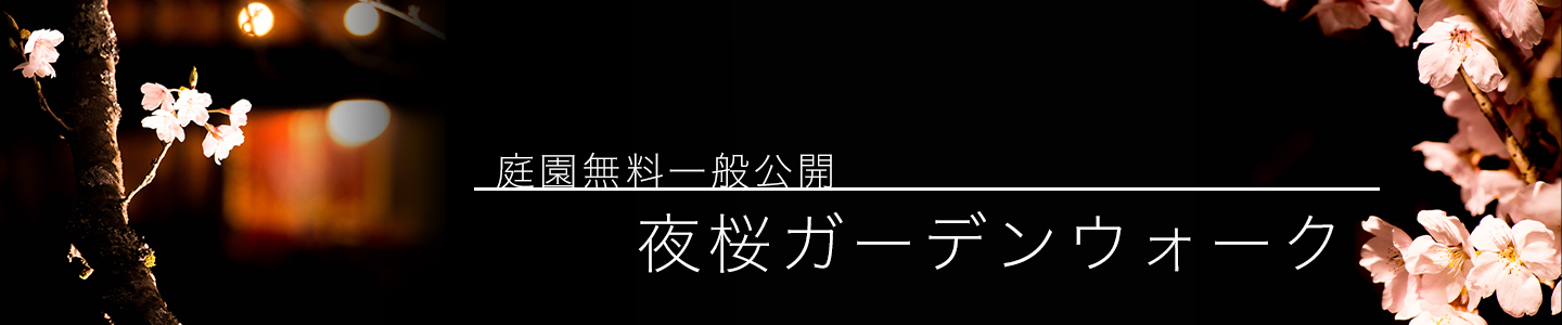 綾部の料亭 ゆう月 庭園の夜桜ライトアップ 一般公開