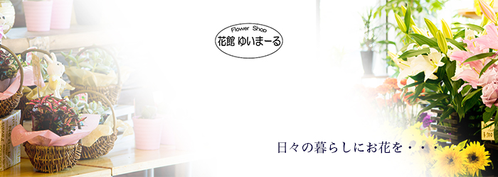 綾部 会席 ゆう月 花屋 ゆいまーる お祝い 誕生日 プレゼント 